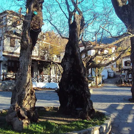 Tsigoura Thassos Szálloda