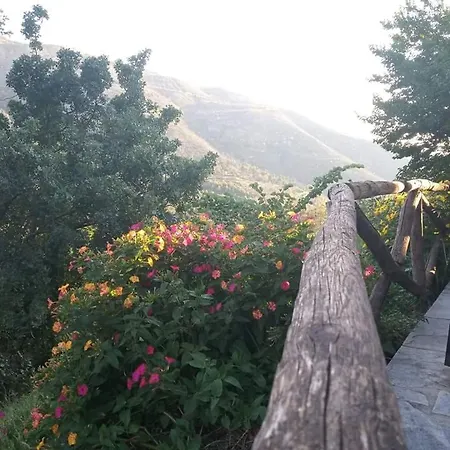 Tsigoura Thassos Μικρός Πρίνος
